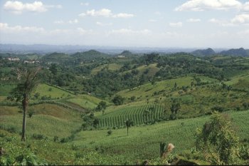 Maya mountains