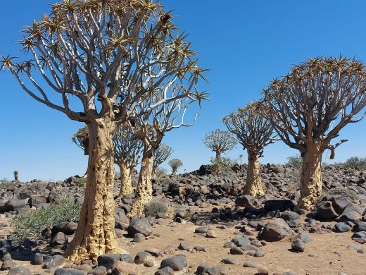 Namibia