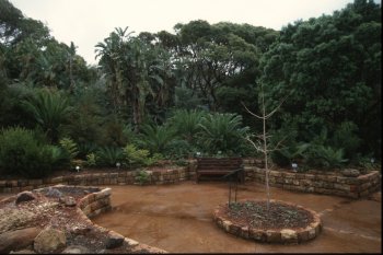 il 'giardino del Gondwana'