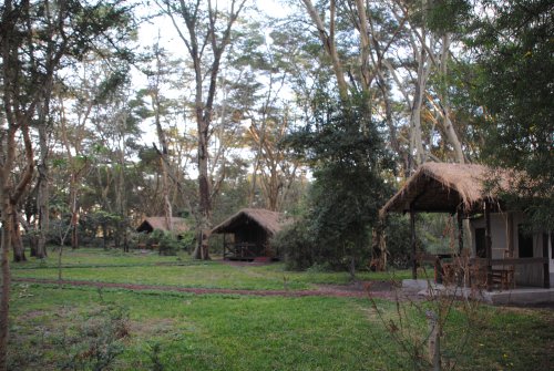 Migunga (o lake Manyara) tented camp 